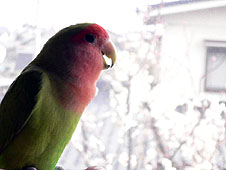 �E������A���J������I