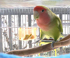 �􂨉Ԍ��Ё[�ڂ����`��