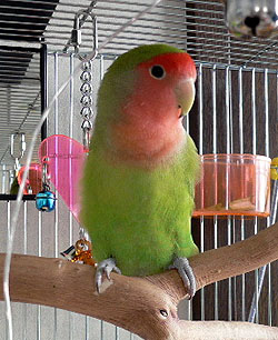 ���ꂥ�`�H�H�H�}�}�A�ǁ[�����̂��`�`�`