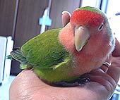 �����A�A�A�ˁA�˂ނ��患�B�B