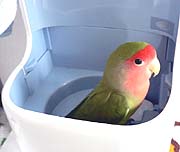 �����A�����Ƃ��݁[�������I�������Ⴄ����ˁ`��