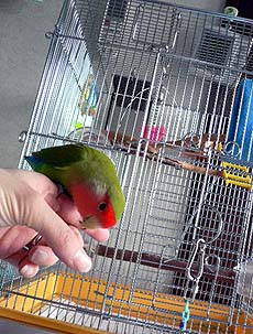 �܂܂��`�A�т����肵���患�`�҂����������`