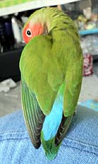 �}�}�Ɏ����񂾂悧�[�[�[�����I