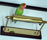 �O�����x����Ă݂��������́A���ւ̃��C�g�B