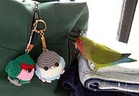 ��������ɍs���񂾂�`