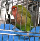 �}�}���`�A�x���悧�`�B�B