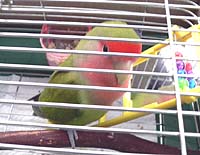 �������܂ł���������Ɓ`