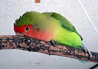 �}�}�������Ă��ꂽ�񂾂患�B