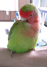 �}�}�̂������āA���肵�Ȃ��񂾂�Ȃ��B