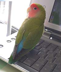 �}�}�A�p�\�R���v���U�肾��ˁI