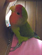 ��������ɂ��������Ă�[��I