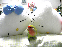 �ǂ��H�Ԃɏo�ė��ꂽ��I