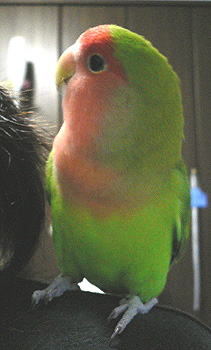 ���̂˂��A�Ȃ��`���̂��A�ق炟�`�����Ă�񂾂��Ă΂��`