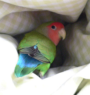 �����A�������낢�񂾂�B