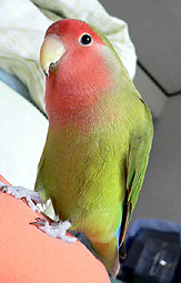 �܂܂��I���x�Ǘ����̂񂾂���I