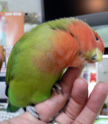 �J�L�J�L�����Ⴈ���ƁB