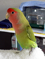 �܂܁A���[���Ƃ��V��ł���Ȃ��񂾂���B�B