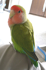 ����I���[���Ƃ�������ɁA�����ς���������I